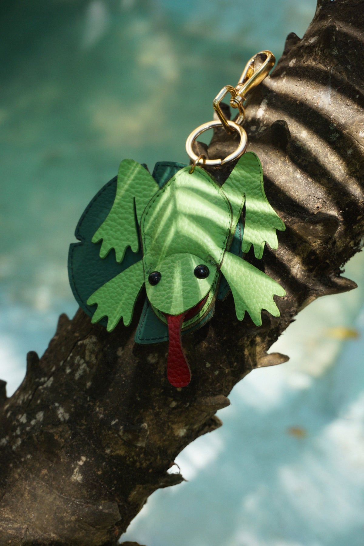 CHARM THE FROG